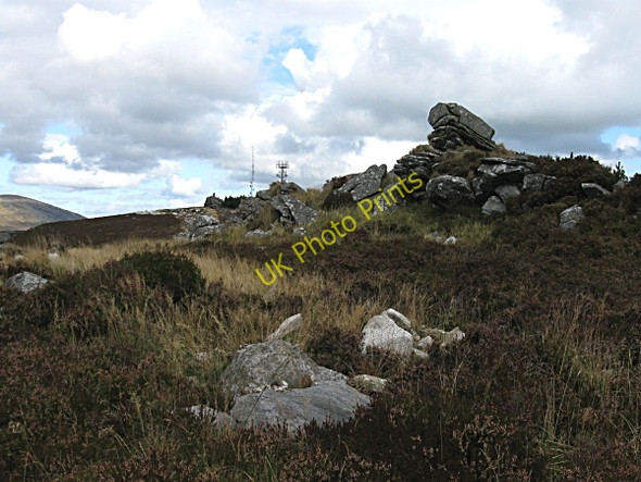 Photo 6"x4" Bran Scultair Rathnure c2009