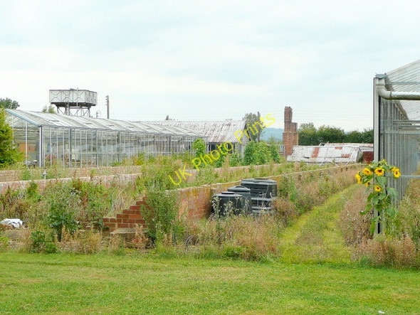 Photo 6"x4" Redundant nursery in Sedgeberrow Sedgeberrow c2009