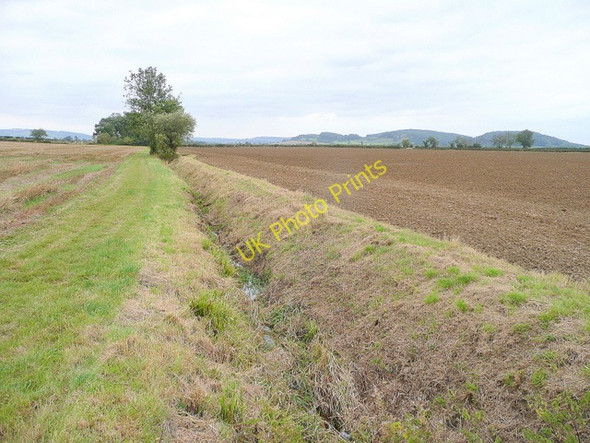 Photo 6"x4" Tiny tributary stream of the Isbourne Sedgeberrow c2009