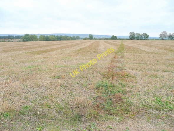 Photo 6"x4" Footpath to Wormington Wormington c2009