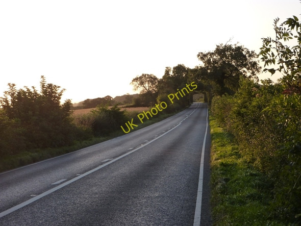 Photo 6"x4" A39 into a tunnel of trees Catcott c2009