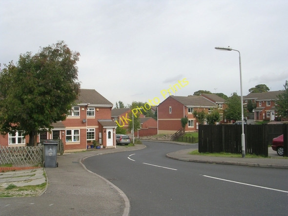 Photo 6"x4" Laneside Gardens - Westwood Side Morley\/SE2627 c2009