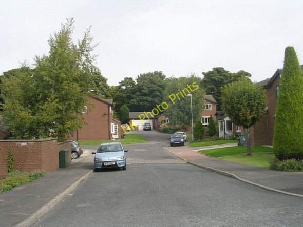 Photo 6"x4" Westwood Close - Westwood Side Morley\/SE2627 c2009