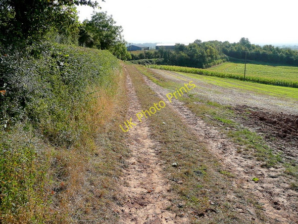 Photo 6"x4" Tirley Hill Tirley c2009
