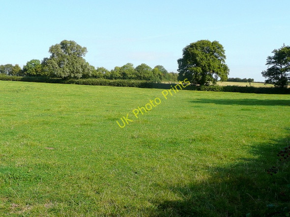 Photo 6"x4" Pastoral landscape Wickridge Street c2009