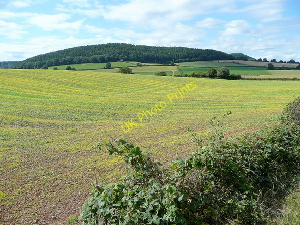 Photo 6"x4" View to The Penyard Pontshill c2009