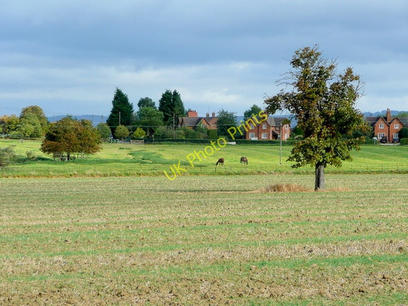 Photo 6"x4" View to Dumbleton Dumbleton c2009