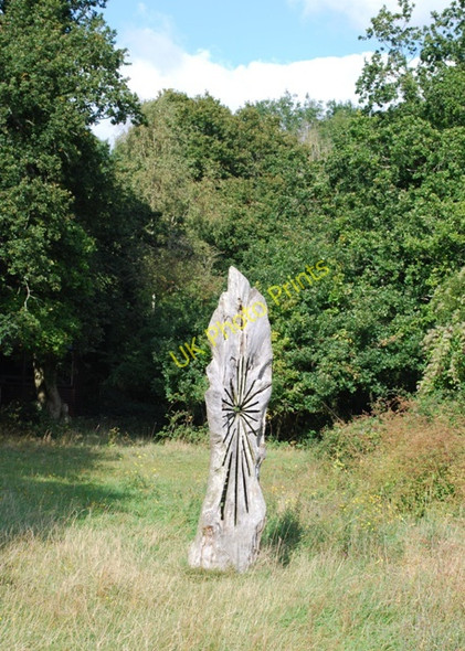 Photo 6"x4" Woodland sculpture West Stoke\/SU8208 c2009