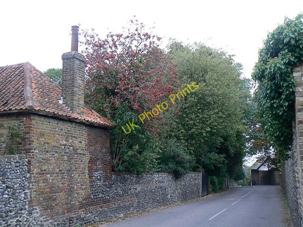 Photo 6"x4" Swedish Whitebeam, Kingsdown Kent Kingsdown\/TR3748 c2009