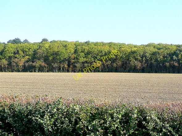 Photo 6"x4" Smith Hill Plantation Mount Pleasant\/SP0439 c2009