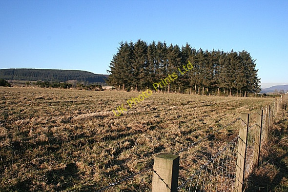 Photo 6"x4" Upper Cuttlehill Ruthven\/NJ5046 c2008