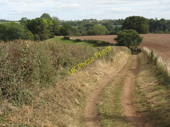 Photo 6"x4" Footpath To The River Severn Boreley c2009