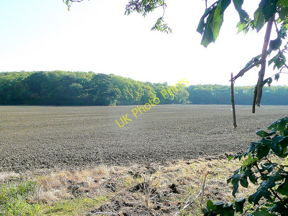 Photo 6"x4" View to Ash Plantation Aston Somerville c2009