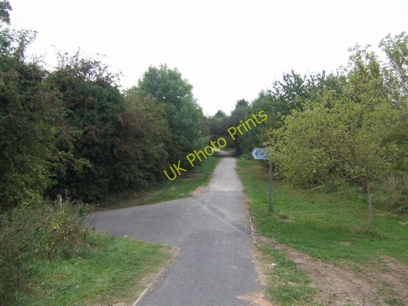 Photo 6"x4" Cycleway on the Shrewsbury Canal Shrewsbury c2009