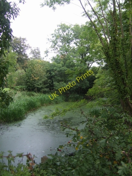 Photo 6"x4" Shrewsbury Canal Uffington\/SJ5213 c2009