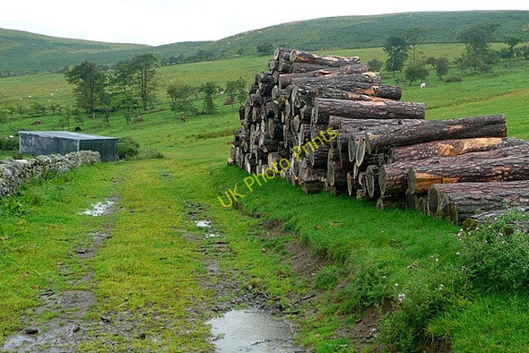 Photo 6"x4" Logs at Fawdon Fawdon\/NU0315 c2009