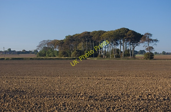 Photo 6"x4" South of Humbleton Danthorpe c2009