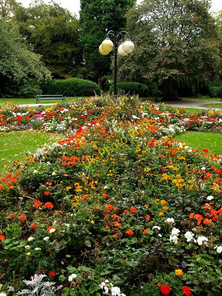 Photo 6"x4" Public Gardens near Selby Abbey Selby c2009