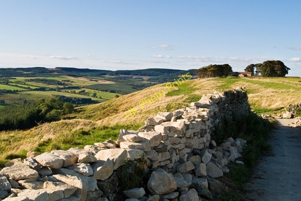 Photo 6"x4" Dry stone wall Boltby c2009