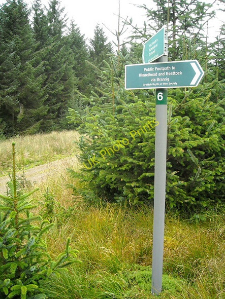 Photo 6"x4" Footpath Signpost in Ae Forest Killyminshaw Hill c2009