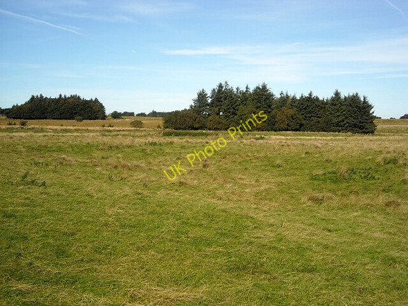 Photo 6"x4" Rough Grazing Near Rigfoot Moss Laigh Carnduff c2009