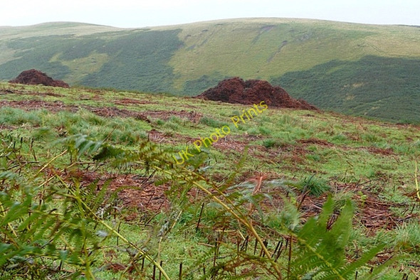Photo 6"x4" Towards Old Fawdon Hill Fawdon\/NU0315 c2009