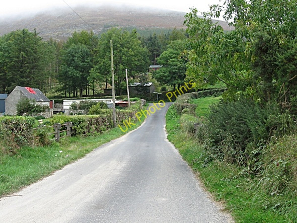 Photo 6"x4" Scullogue Gap Kiltealy c2009