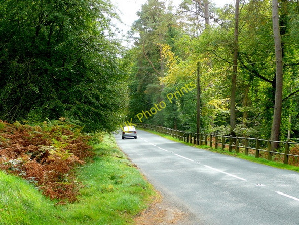 Photo 6"x4" B4234 New Road 1 Worrall Hill c2009