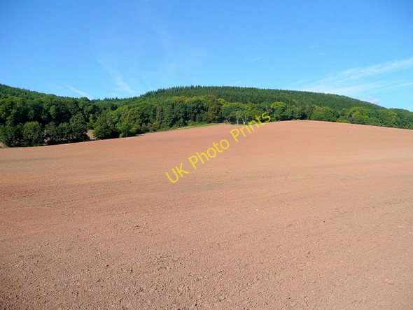 Photo 6"x4" View to Hope Wood 3 Longhope\/SO6818 c2009