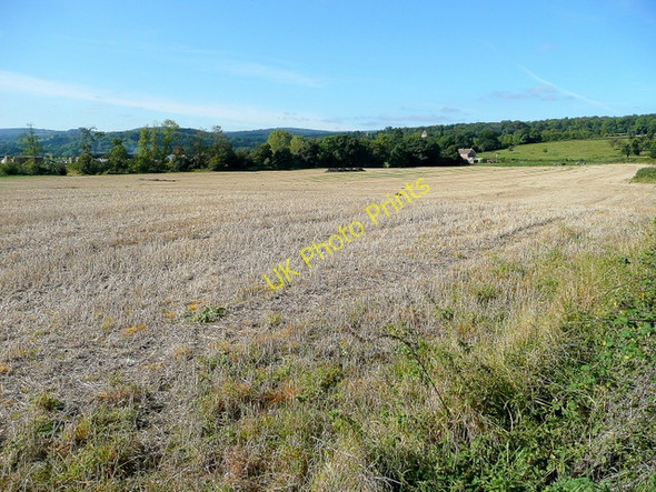 Photo 6"x4" View to Blaisdon Blaisdon c2009
