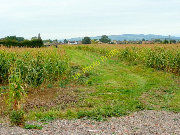 Photo 6"x4" Footpath to Childswickham Childswickham c2009