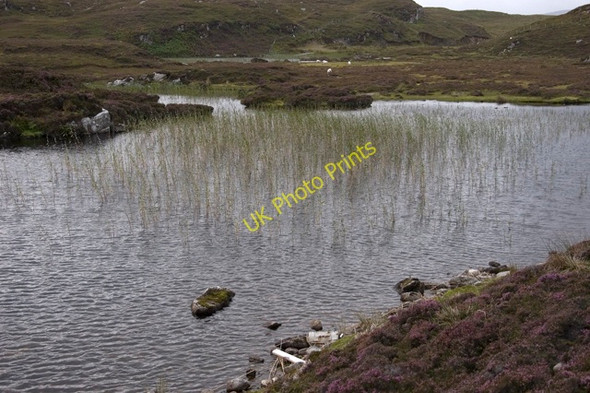 Photo 6"x4" Reedy bay in Loch an Duin Carnach\/NG2297 c2009