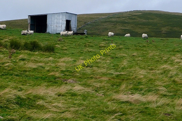 Photo 6"x4" View from Mid Hill Westnewton\/NT9030 c2009 P1