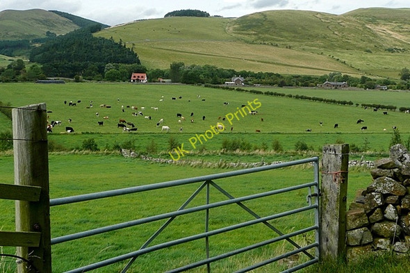Photo 6"x4" Towards Westnewton Westnewton\/NT9030 c2009