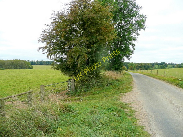 Photo 6"x4" Lane to Eastington Northleach c2009