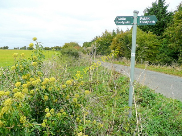 Photo 6"x4" Footpath sign near Eastington Northleach c2009