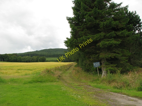 Photo 6"x4" Track South West towards Little Bin from Cullen House Gardens Cullen\/NJ5167 c2009