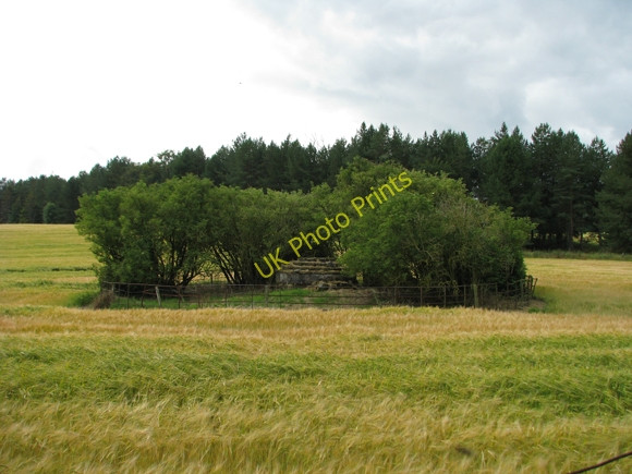 Photo 6"x4" Well in field Cullen\/NJ5167 c2009