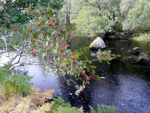 Photo 6"x4" River Cannich Loch Craskie c2009