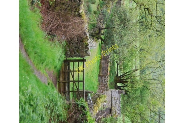 Photo 6"x4" Gate by The Ravenglass & Eskdale Railway at Fisherground Farm Eskdale Green c2009