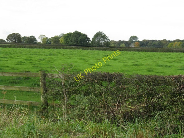 Photo 6"x4" Fields Off Rowleybank Lane High Legh c2009