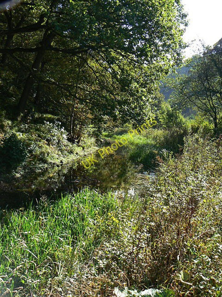 Photo 6"x4" Cromford Canal Longway Bank\/SK3154 c2009