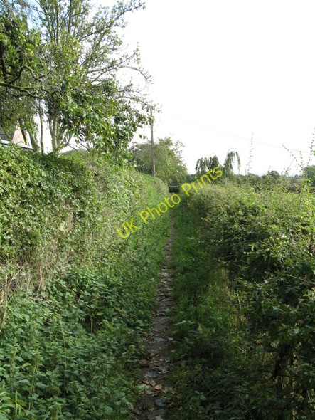 Photo 6"x4" Bridleway Alongside The Ashes Arley Green c2009