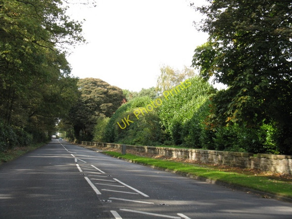Photo 6"x4" A50, Looking Toward High Legh High Legh c2009