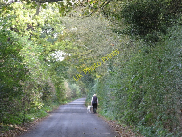 Photo 6"x4" Walking The Dog, Wrenshot Lane, High Legh Broomedge c2009