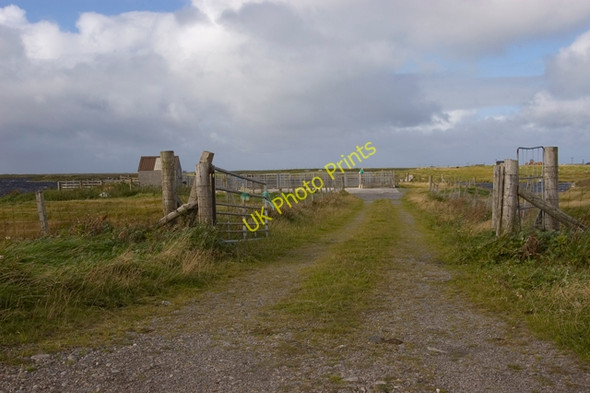 Photo 6"x4" Sheep fank near Geirinis Geirinis c2009