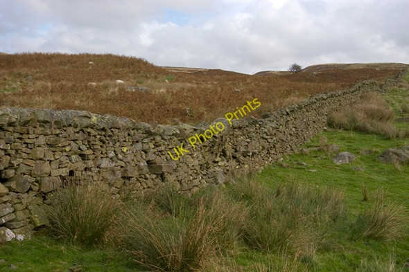 Photo 6"x4" Fellside Wall on Staveley Head Fell Green Quarter c2009