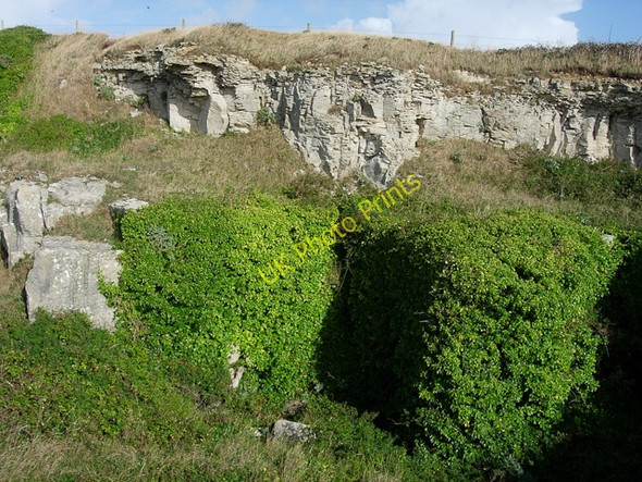 Photo 6"x4" Limestone Quarry, St Aldhelm's Head Worth Matravers c2006