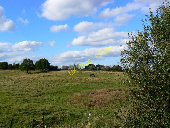 Photo 6"x4" Field near Sheepslaight Plantation, Stanton Fitzwarren, Swindon Stanton Fitzwarren c2009