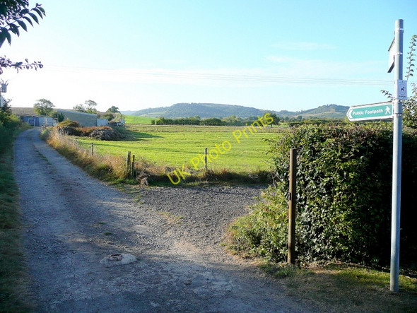 Photo 6"x4" Footpath junction at the end of Blacksmith's Lane Little Beckford c2009